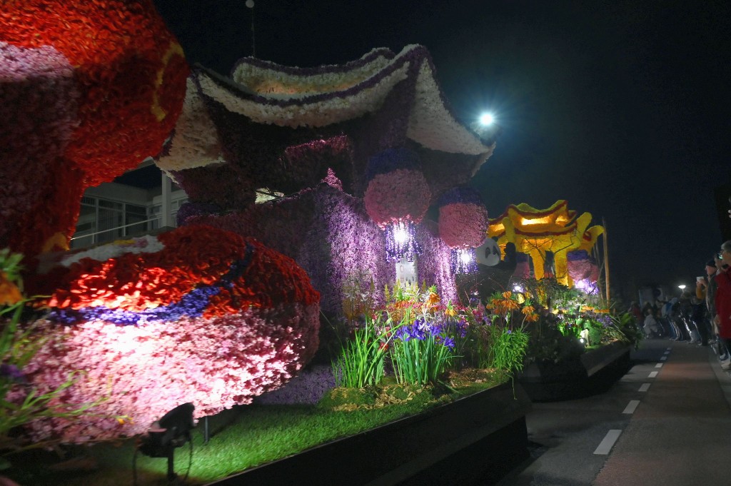 ../Images/Verlicht bloemencorso 2025 166.jpg